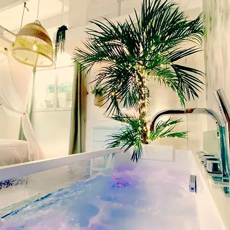 De Luxe Stella Jacuzzi - Sauna - Terrasses Rooftop - Hypercentre Montpellier