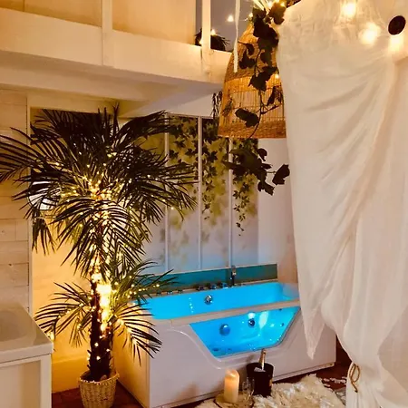 De Luxe Stella Jacuzzi - Sauna - Terrasses Rooftop - Hypercentre Apartment *